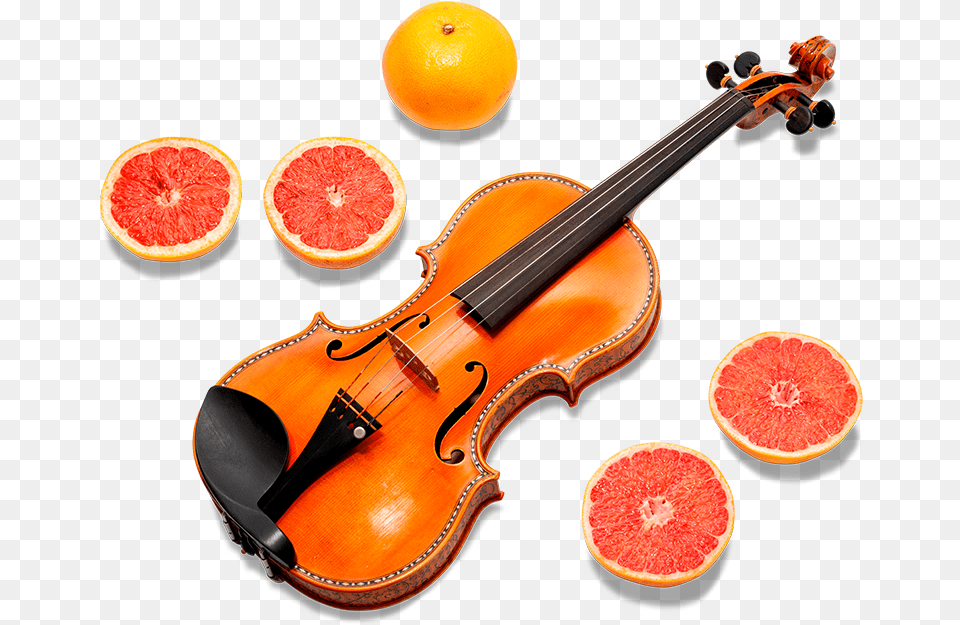 Violin, Citrus Fruit, Food, Fruit, Grapefruit Free Transparent Png