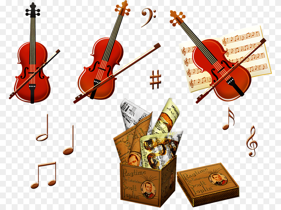 Violin, Musical Instrument, Person Free Png