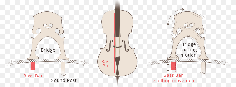 Violin Bass Bar, Cello, Musical Instrument, Adult, Wedding Free Png