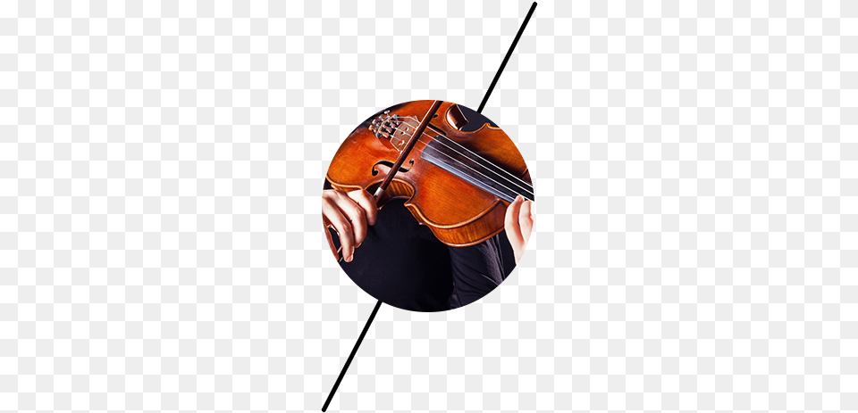 Violin My Vision, Musical Instrument, Cello Png Image