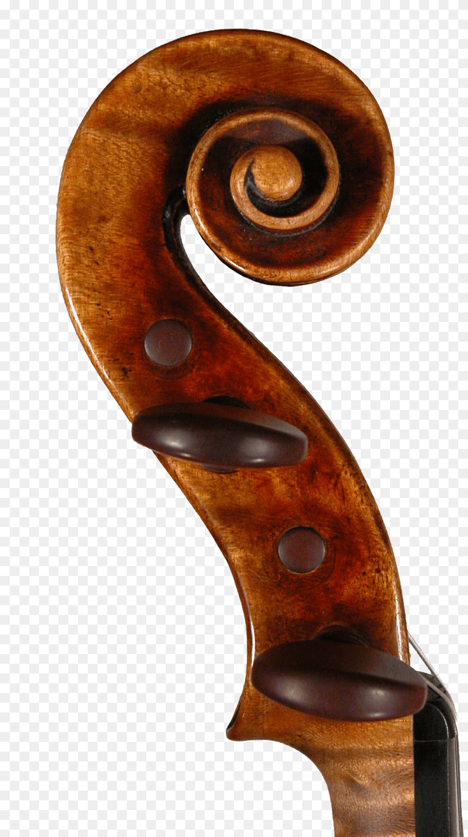 Violin Scroll, Cello, Musical Instrument Png Image
