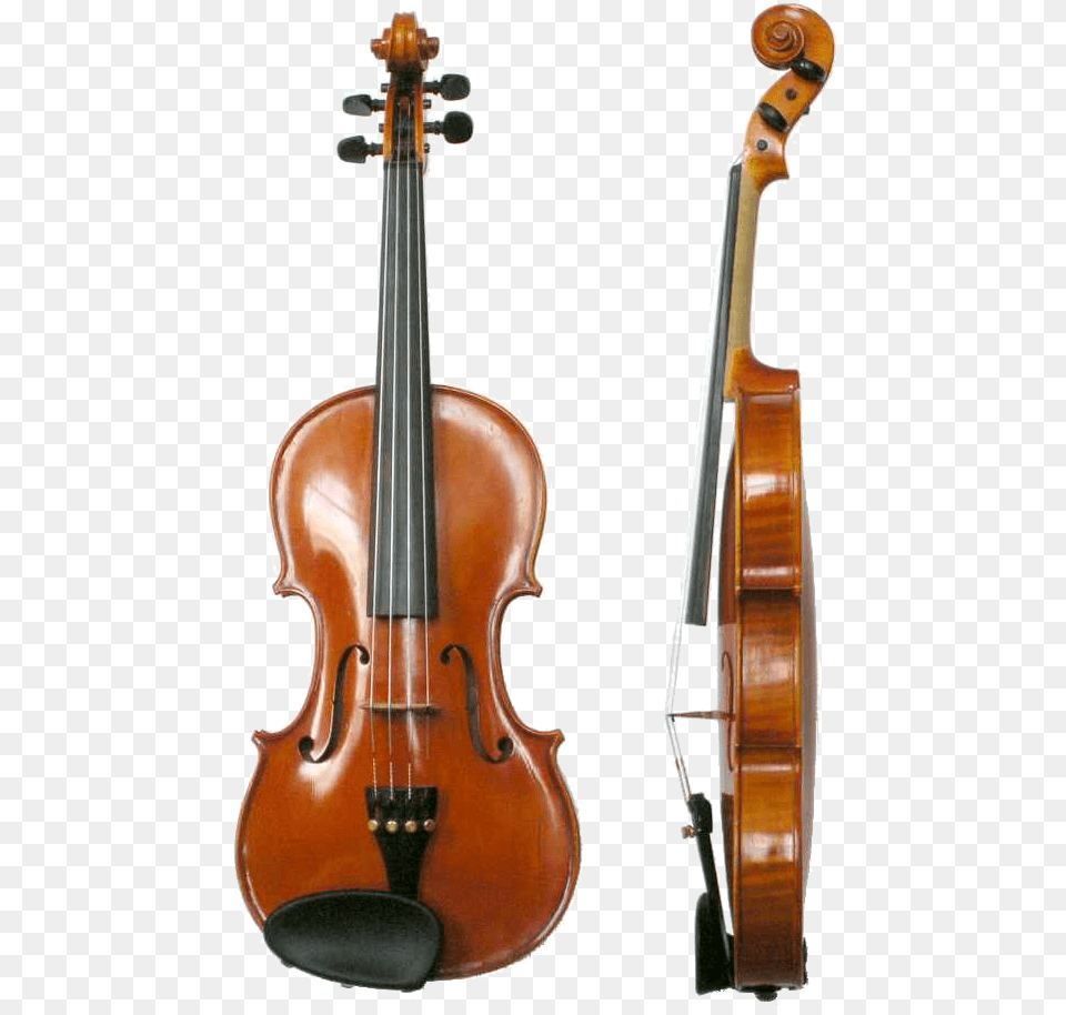 Violin Vl100 Anatomy Of The Viola, Musical Instrument, Guitar Free Png
