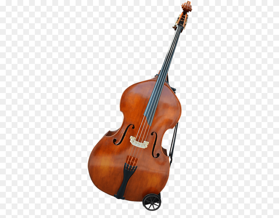 Violone, Cello, Musical Instrument, Violin Free Png
