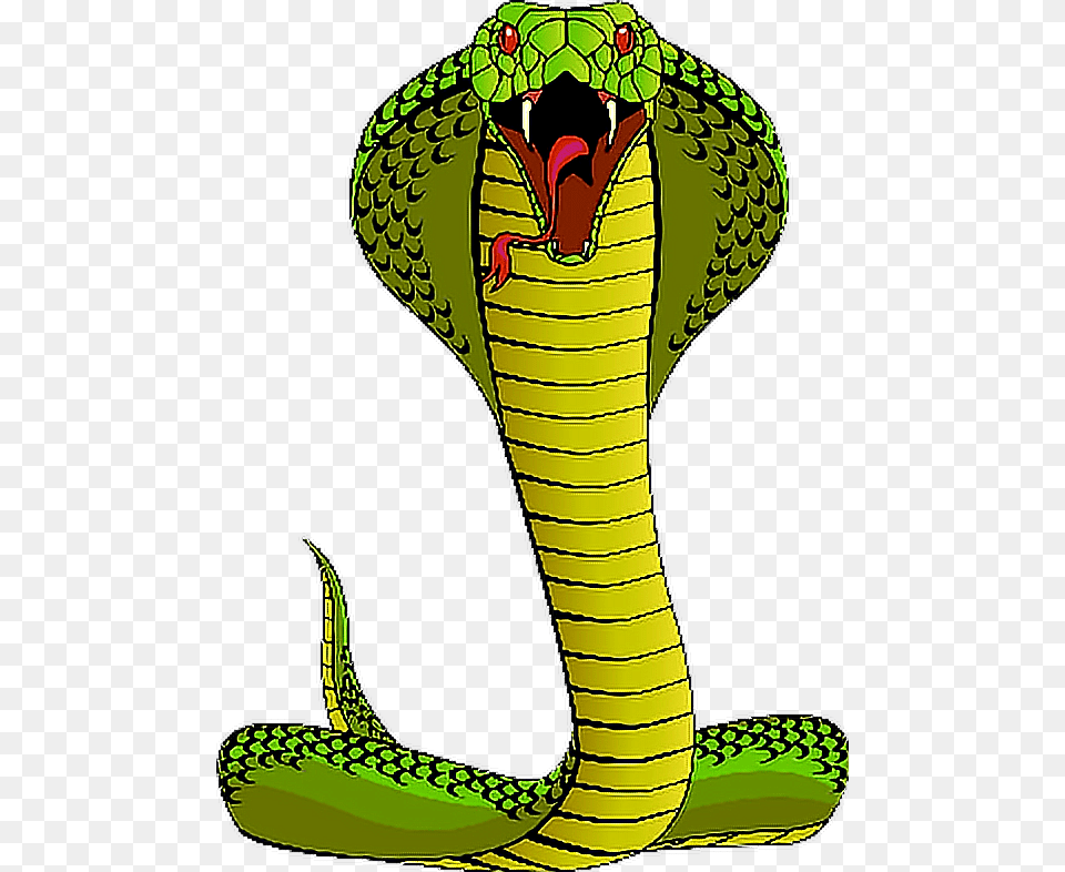 Viper Clipart King Cobra, Animal, Reptile, Snake Free Transparent Png