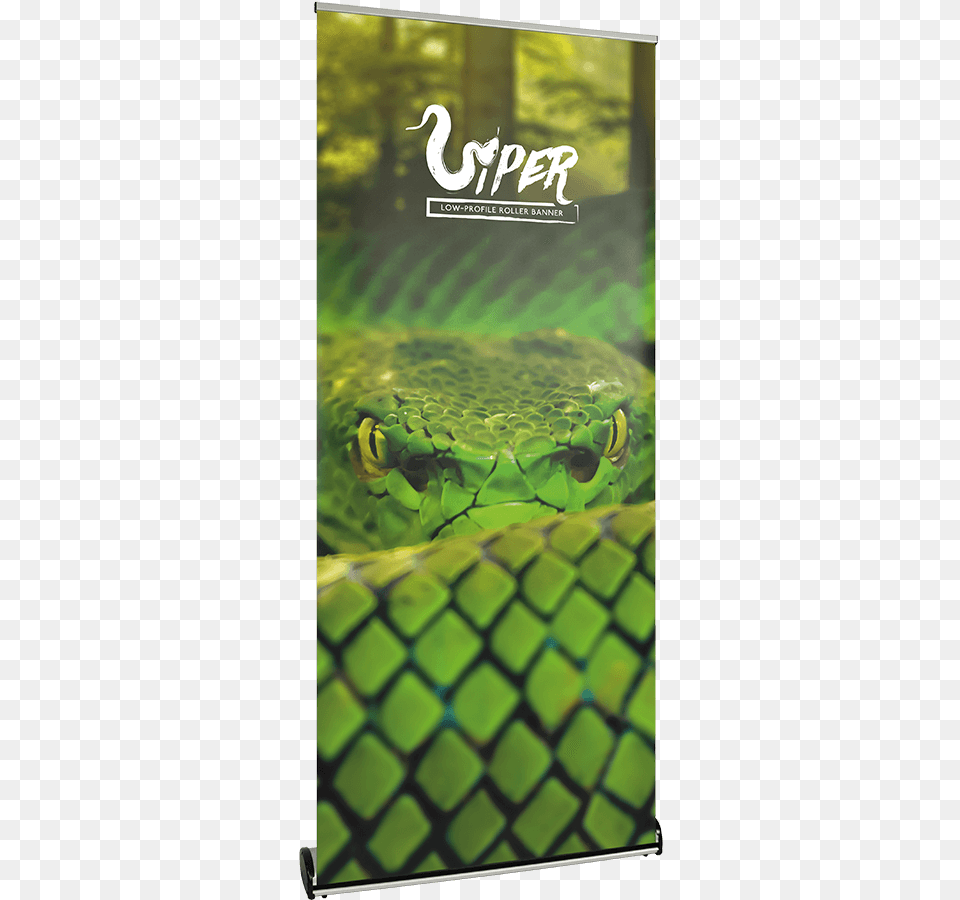 Viper Low Profile Roller Banner Bar Soap, Animal, Reptile, Green Snake, Snake Free Transparent Png