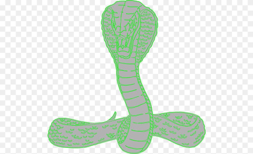 Vipers Svg, Animal, Cobra, Reptile, Snake Png Image