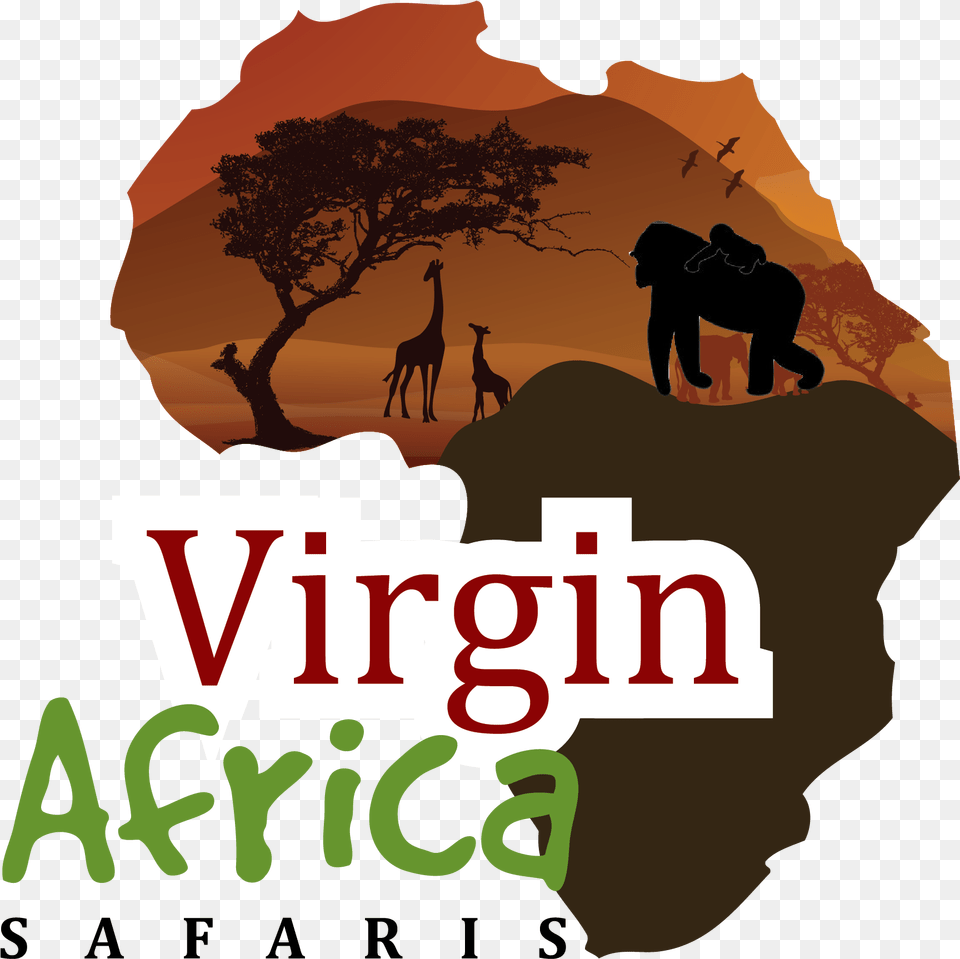Virgin Africa Safaris Tree, Outdoors, Photography, Book, Publication Free Png