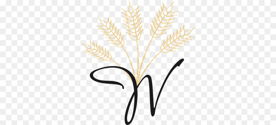 Virgin Wheat Illustration, Grass, Plant, Pattern, Leaf Free Png