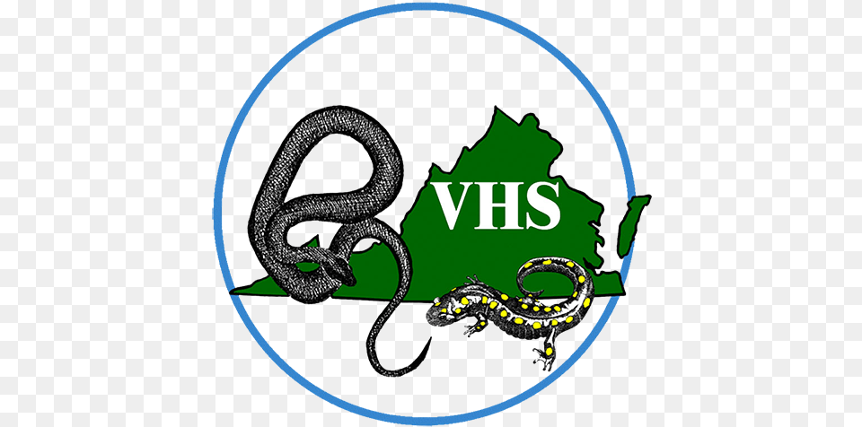Virginia Herpetological Society Virginia Herpetological Society, Animal, Amphibian, Salamander, Wildlife Free Transparent Png