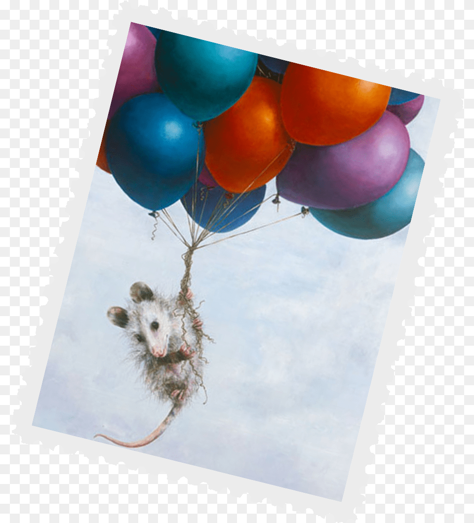 Virginia Opossum Kangaroo Rat, Balloon, Animal, Mammal, Rodent Free Png Download