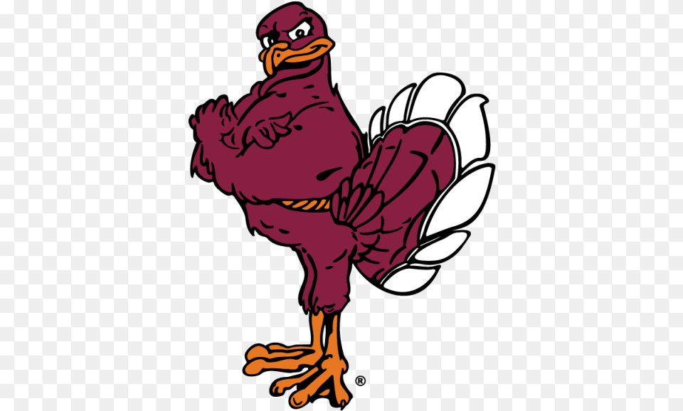 Virginia Tech Hokie Logo, Baby, Person, Animal, Bird Free Png Download