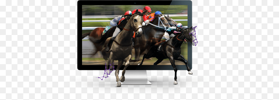 Virtual Sports Virtual Sports Betting, Person, Animal, Equestrian, Horse Png