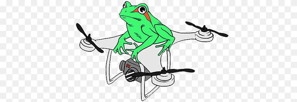 Virtual Tour Aerial Frog New Mexico Bullfrog, Person, Amphibian, Animal, Wildlife Free Png