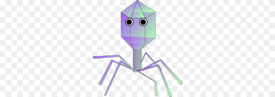 Virus Free Transparent Png