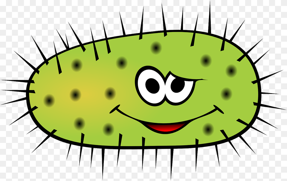 Virus, Cucumber, Food, Plant, Produce Free Png