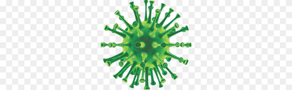Virus, Green, Accessories, Animal, Sea Life Png Image