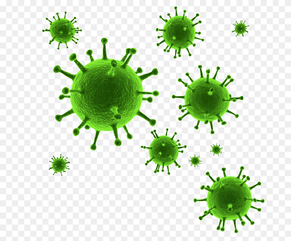 Virus, Green, Accessories, Pattern, Plant Png