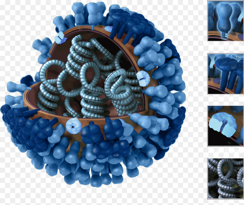 Virus Influenza Transparent Flu Virus, Accessories, Sphere, Jewelry, Turquoise Png