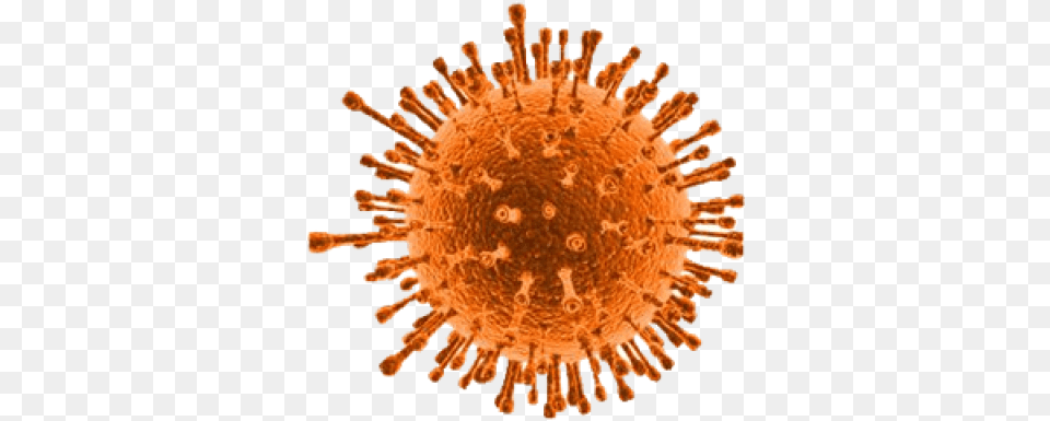 Virus Orange Virus, Plant, Pollen, Stain, Accessories Free Transparent Png