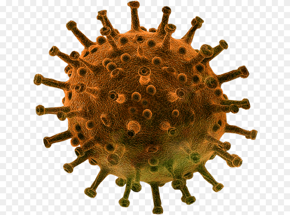 Virus Transparent Image, Accessories, Pattern, Plant, Pollen Free Png Download