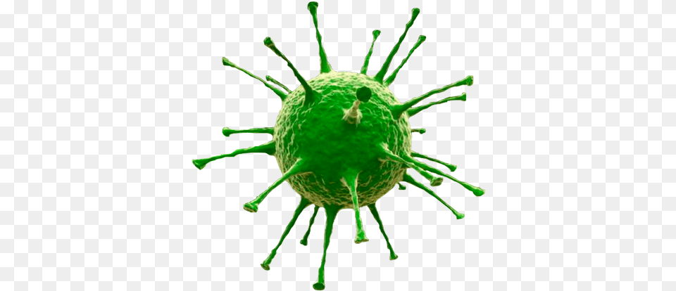 Virus Virus With No Background, Green, Animal, Insect, Invertebrate Png