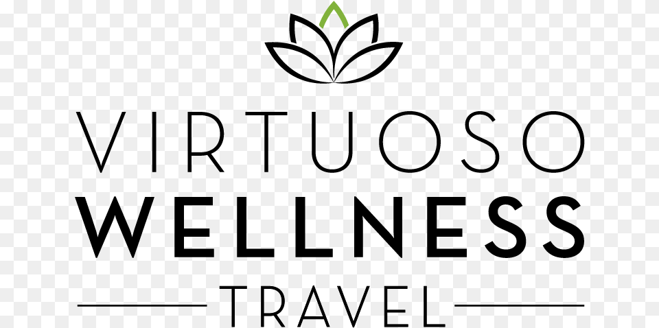 Virwellness Final Logo Mar2017 Graphics, Triangle Free Transparent Png