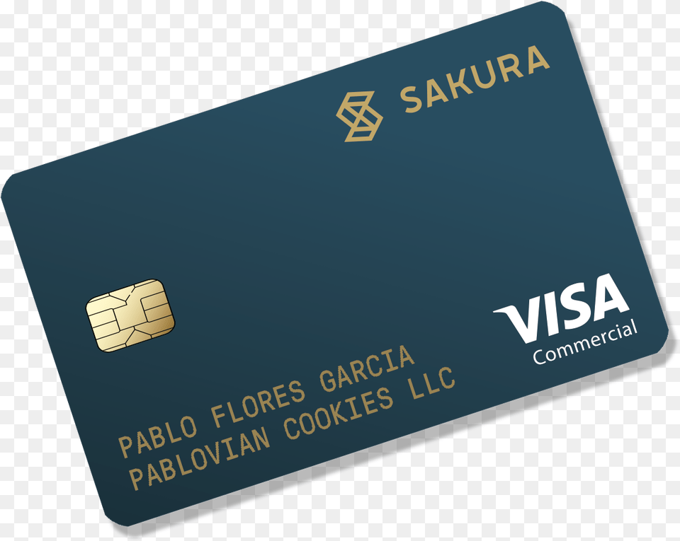 Visa, Text, Credit Card Free Png
