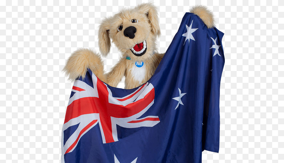 Visa Compliant Overseas Visitors Health Cover Golden Retriever, Animal, Canine, Dog, Mammal Free Transparent Png