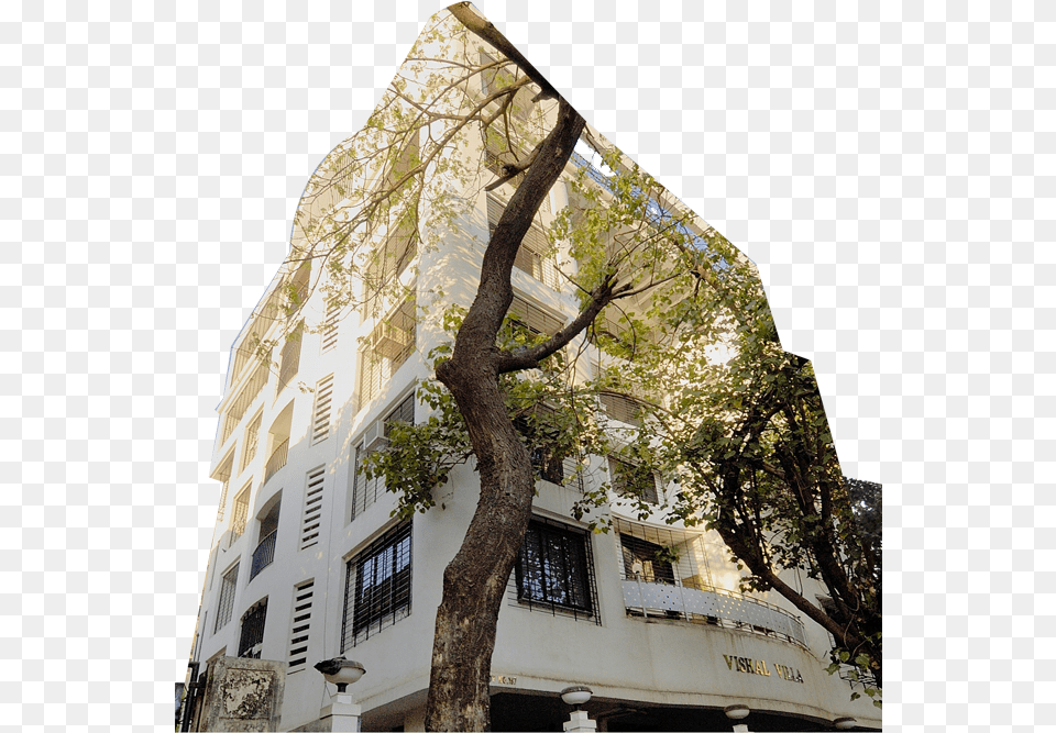 Vishal Villa Residential Project In Mahim West Mumbai Tower Block, Tree Trunk, Tree, Plant, Urban Free Png