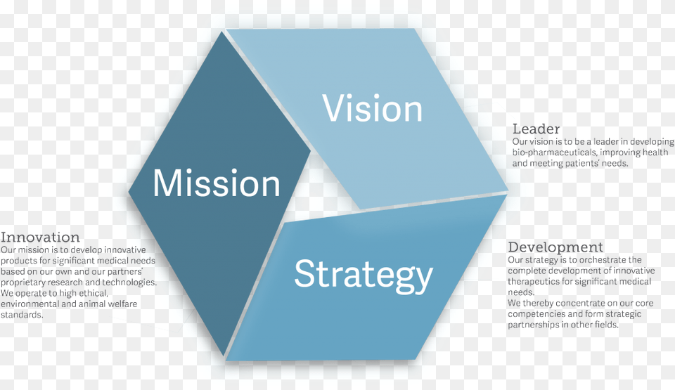 Vision Mission Strategy Statement Infographic Strategy, Advertisement, Poster Free Transparent Png