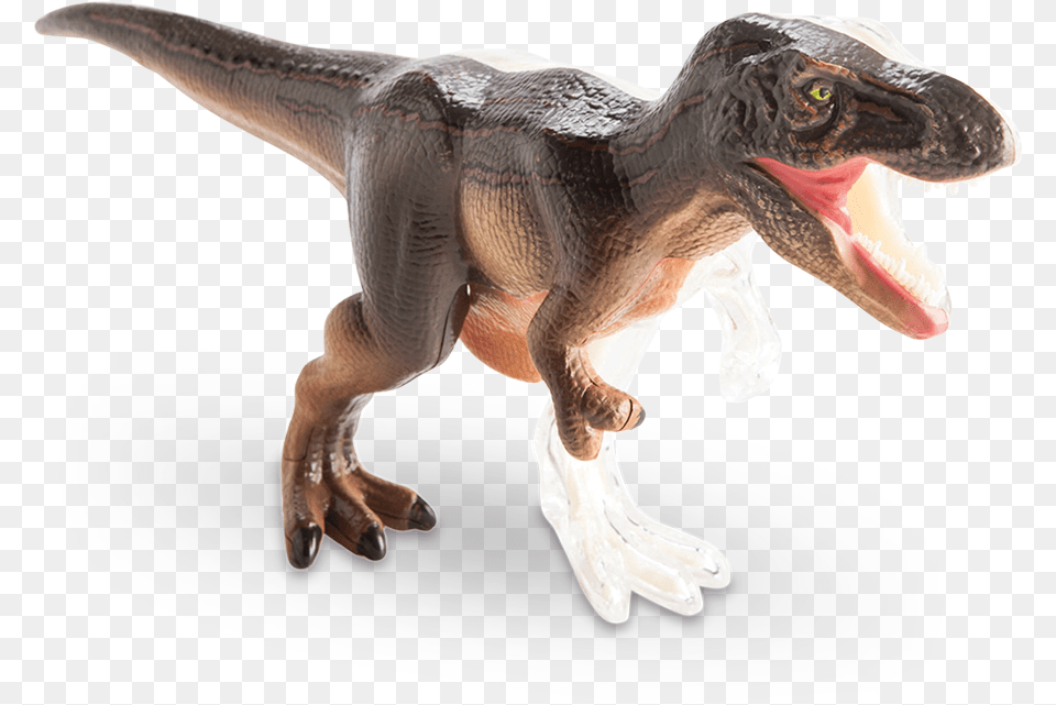 Vision T Rex Anatomy Model Velociraptor, Animal, Dinosaur, Reptile, T-rex Png