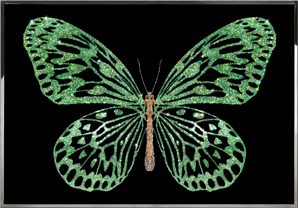 Visionnaire Home Philosophy Art, Animal, Insect, Invertebrate, Accessories Free Png Download