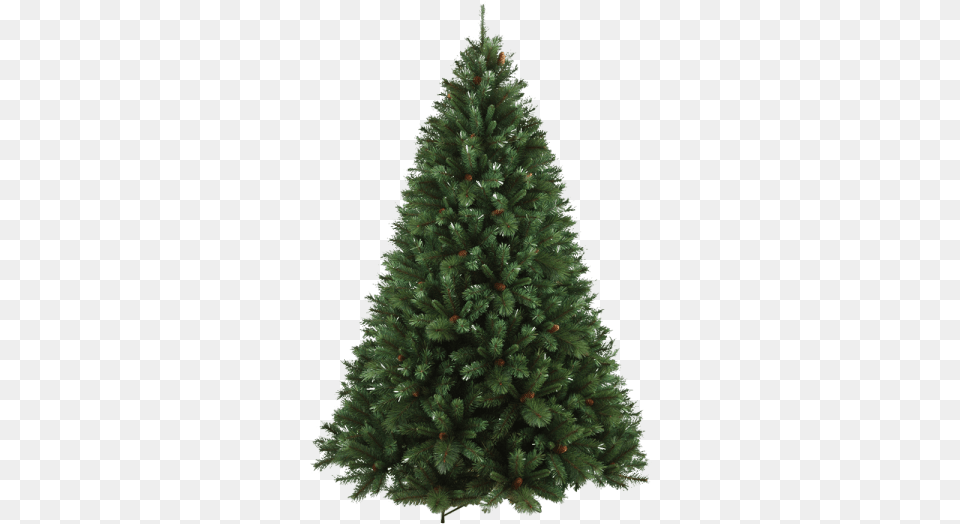 Visit 7ft Pre Lit Christmas Trees, Pine, Plant, Tree, Fir Free Png Download