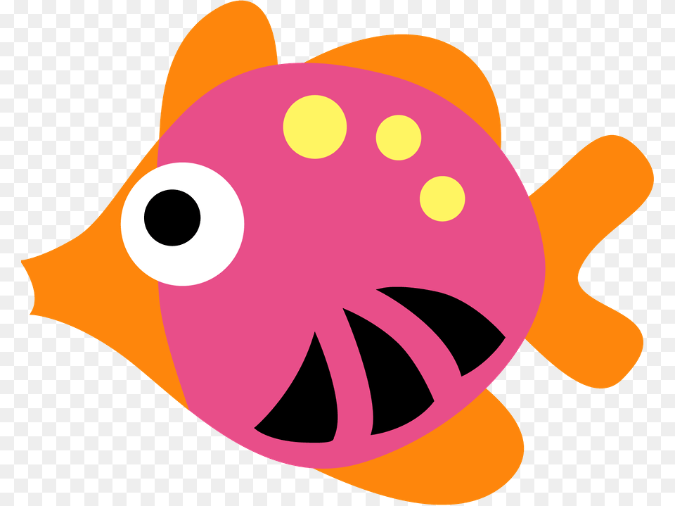 Visit Aquarium, Animal, Sea Life, Fish, Baby Free Transparent Png