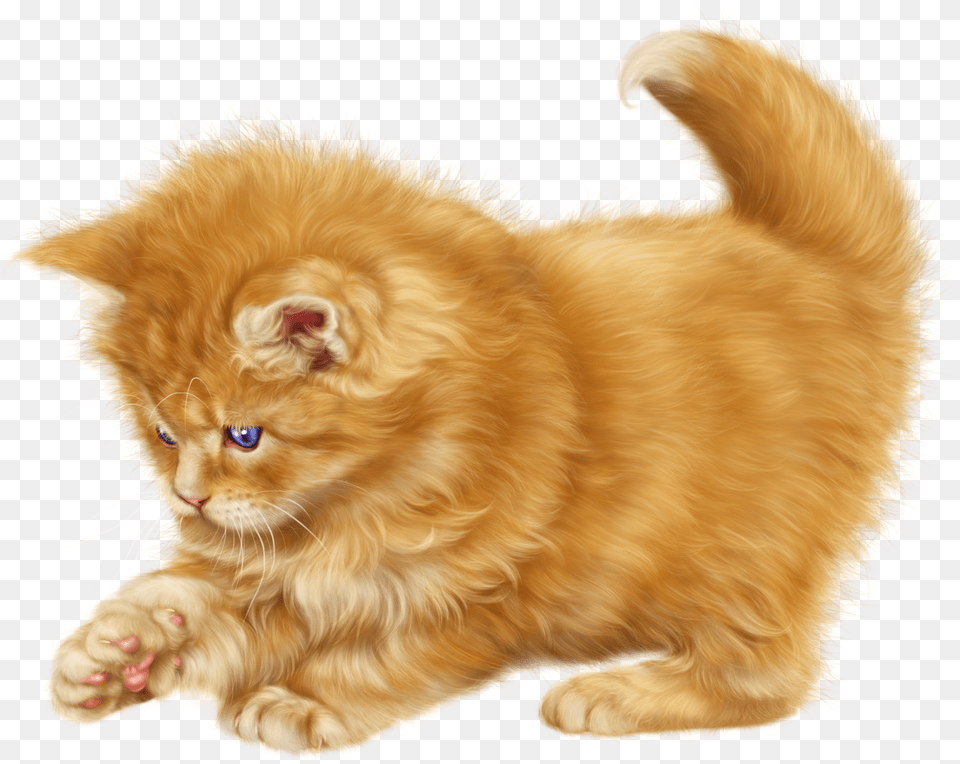 Visit Cat Clipart, Animal, Kitten, Mammal, Pet Free Transparent Png