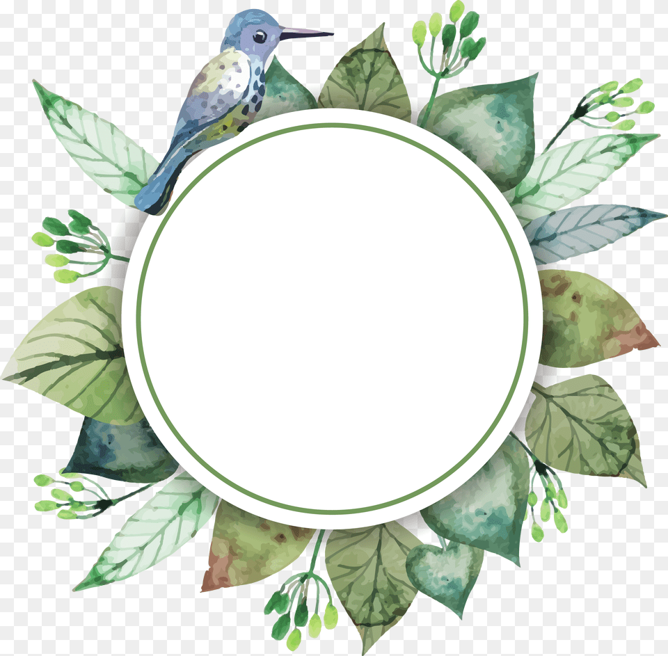 Visit Ecohuella, Leaf, Plant, Animal, Bird Png Image