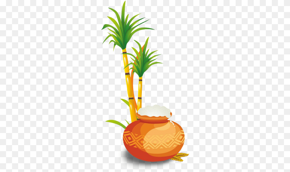Visit Happy Pongal, Plant, Potted Plant, Food, Fruit Free Png