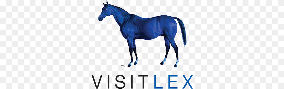 Visit Lex Visit Lex Logo, Animal, Horse, Mammal, Stallion Free Transparent Png