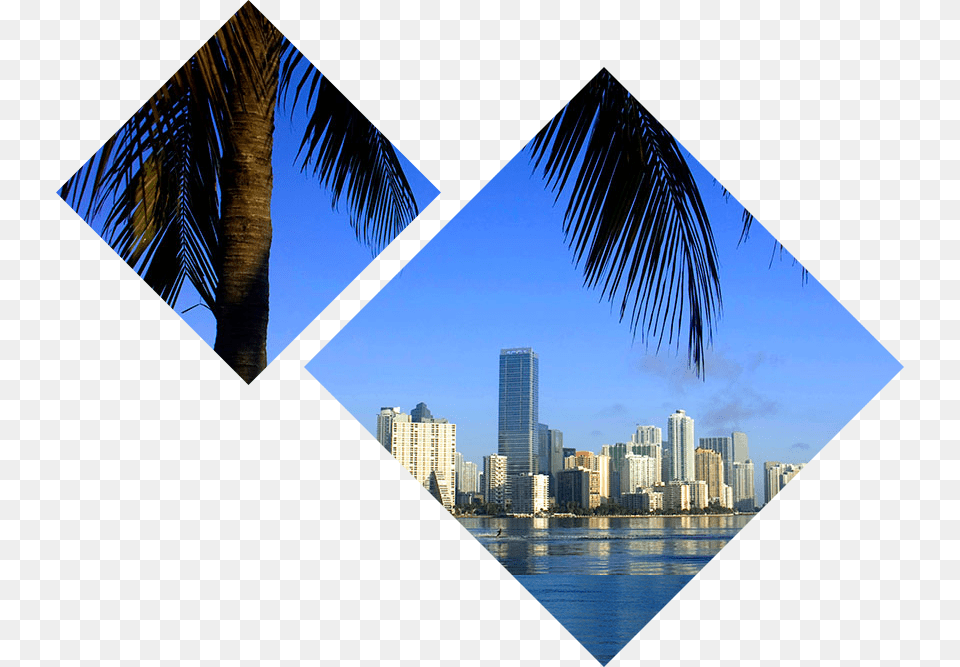 Visit Nmi City Miami, Architecture, Urban, Scenery, Outdoors Png Image