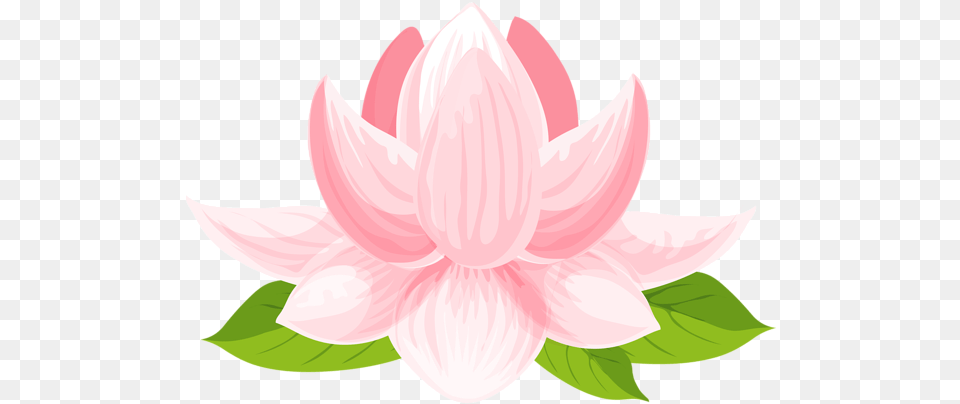 Visit Portable Network Graphics, Dahlia, Flower, Petal, Plant Free Png