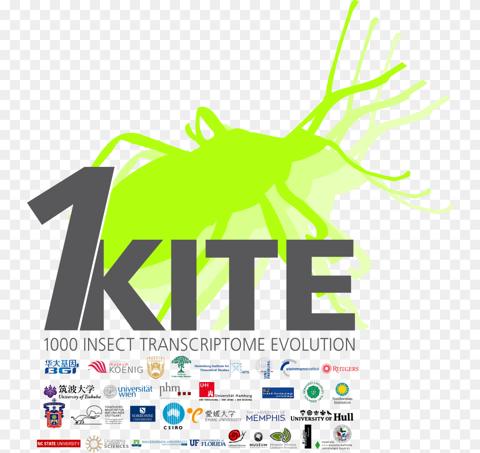 Visit The Bgi Website Insects, Advertisement, Animal, Poster Png Image