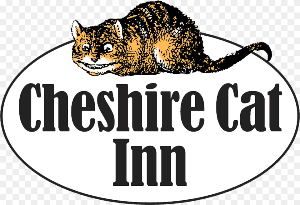 Visit The Cheshire Cat Inn During Your Santa Barbara, Animal, Mammal, Pet Png Image