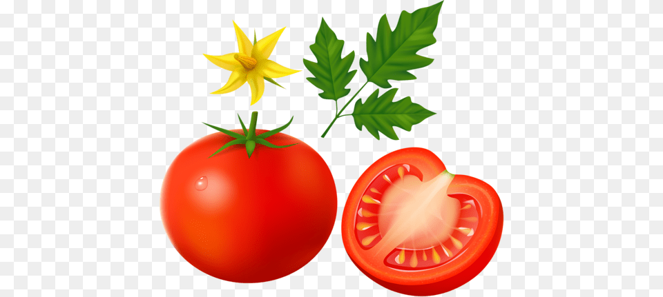 Visit Tomato, Food, Plant, Produce, Vegetable Png