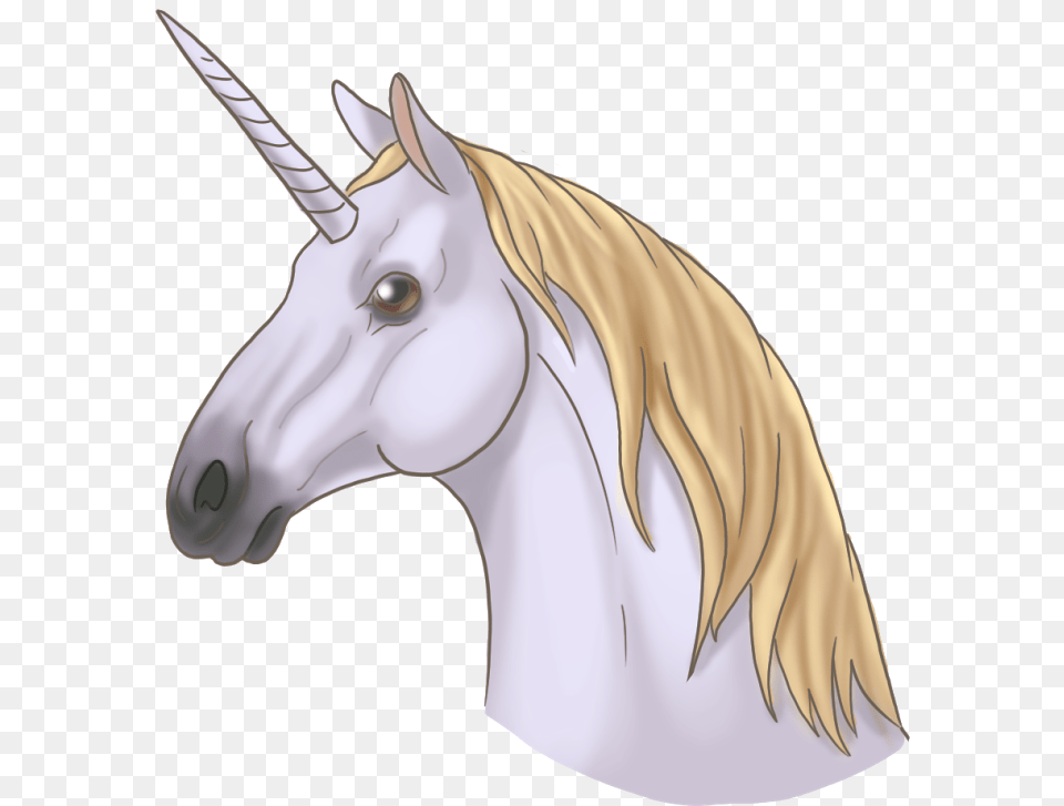 Visit Unicorn, Animal, Mammal, Horse, Andalusian Horse Free Transparent Png