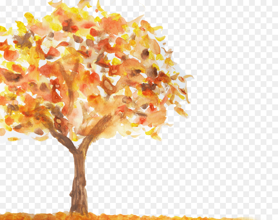 Visual Arts, Maple, Plant, Tree, Oak Free Png Download