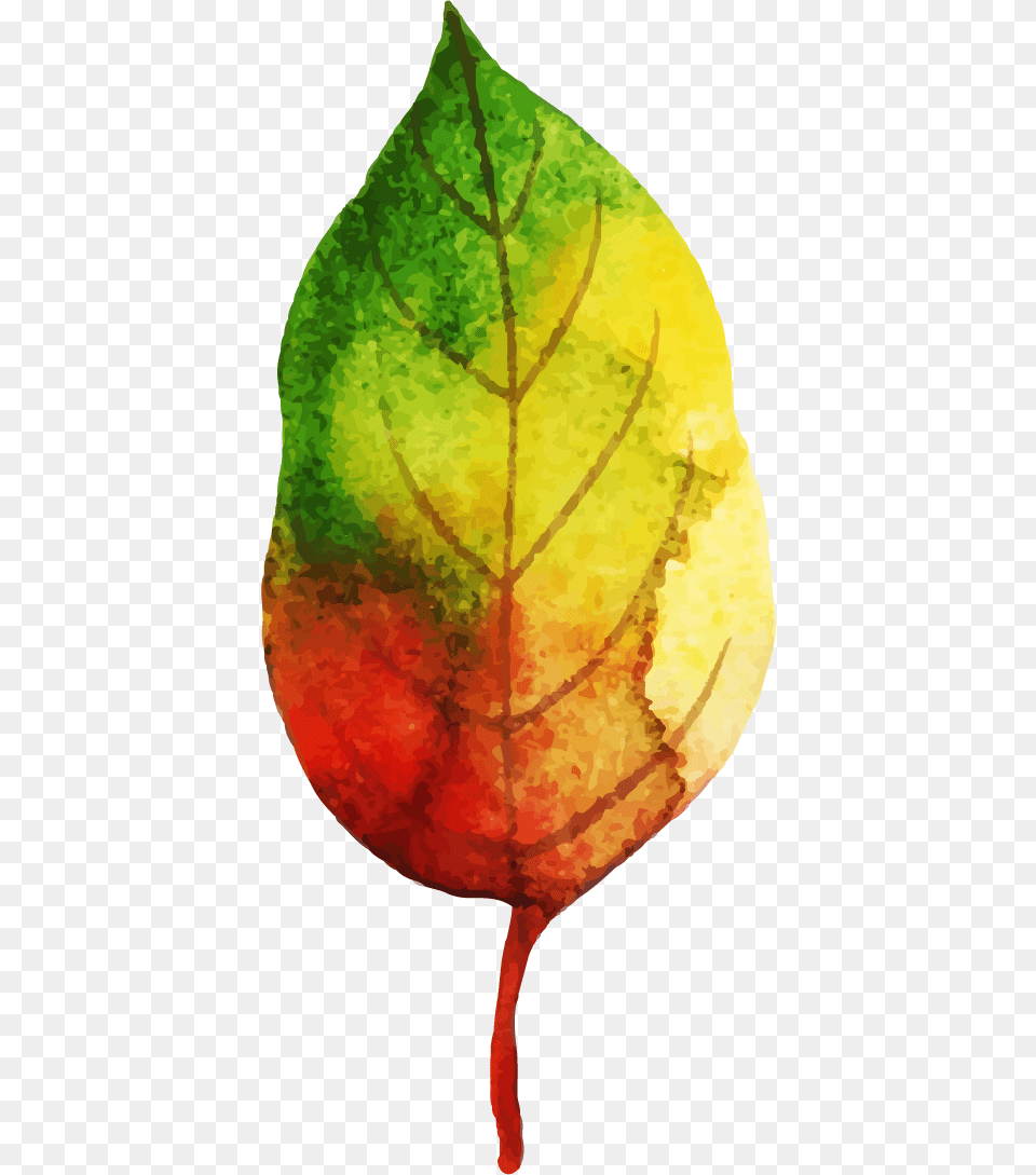 Visual Arts, Leaf, Plant, Person, Tree Free Png Download