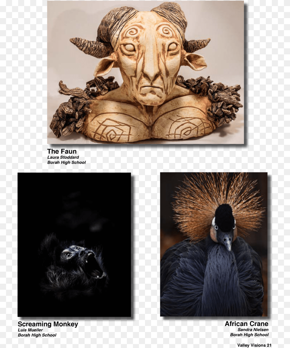 Visual Arts, Animal, Beak, Bird, Person Free Png