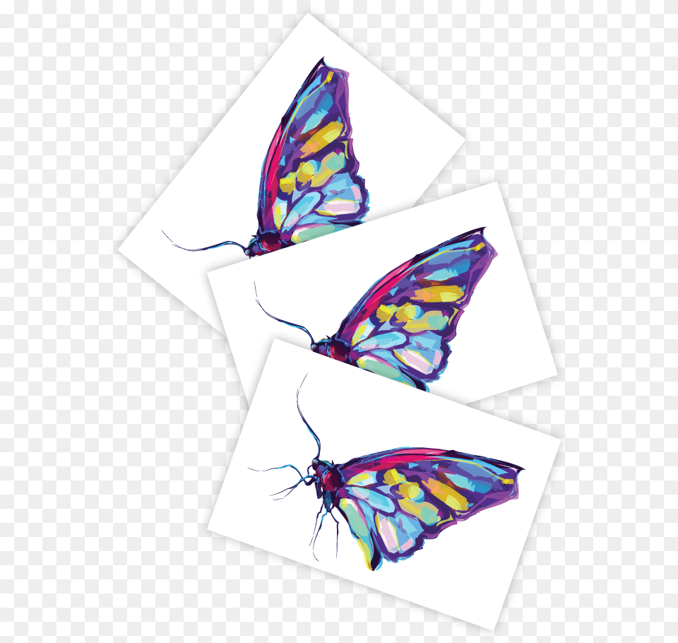 Visual Arts, Art, Animal, Butterfly, Insect Free Png Download