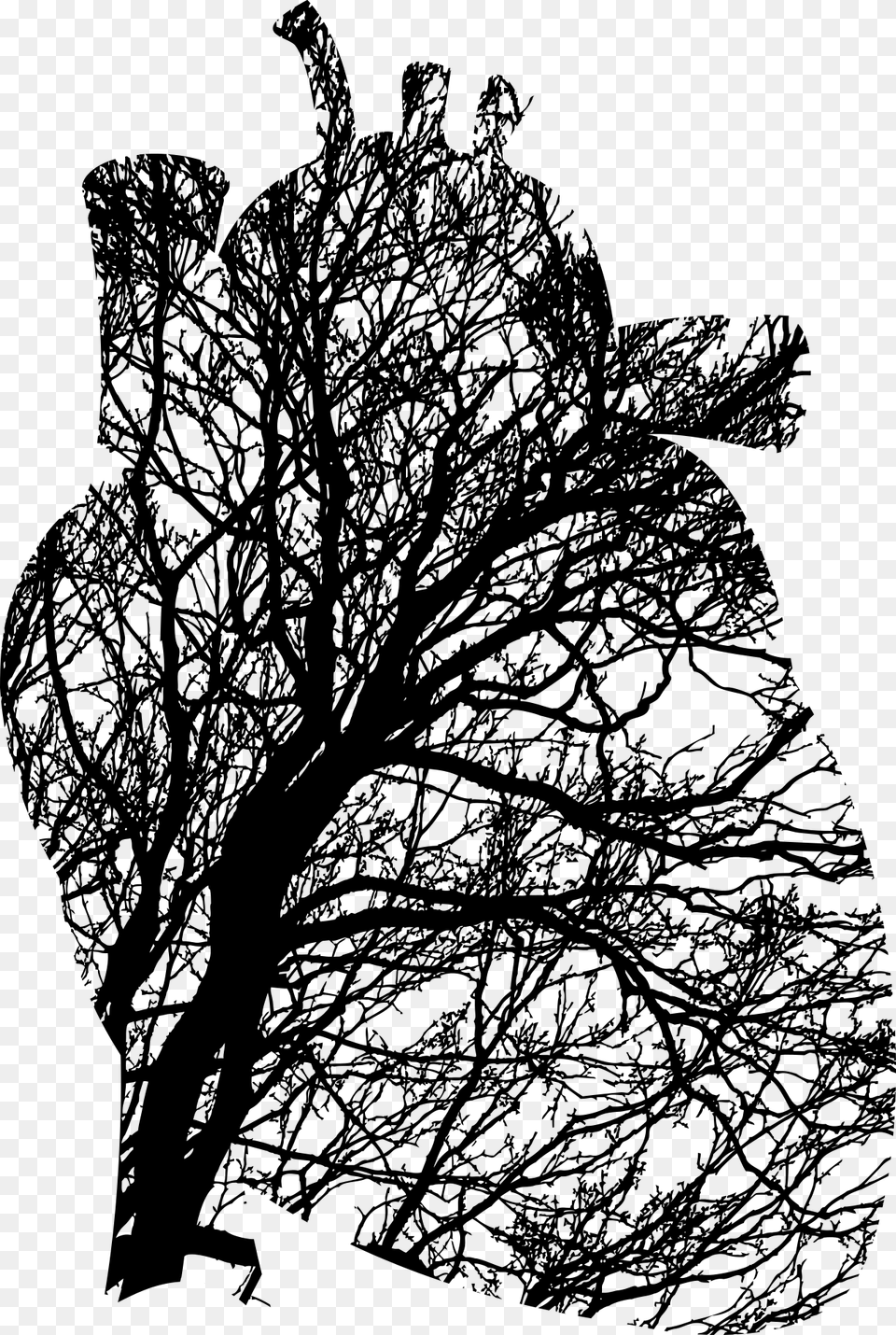 Visual Artsplantflora Black And White Heart Tree, Gray Png