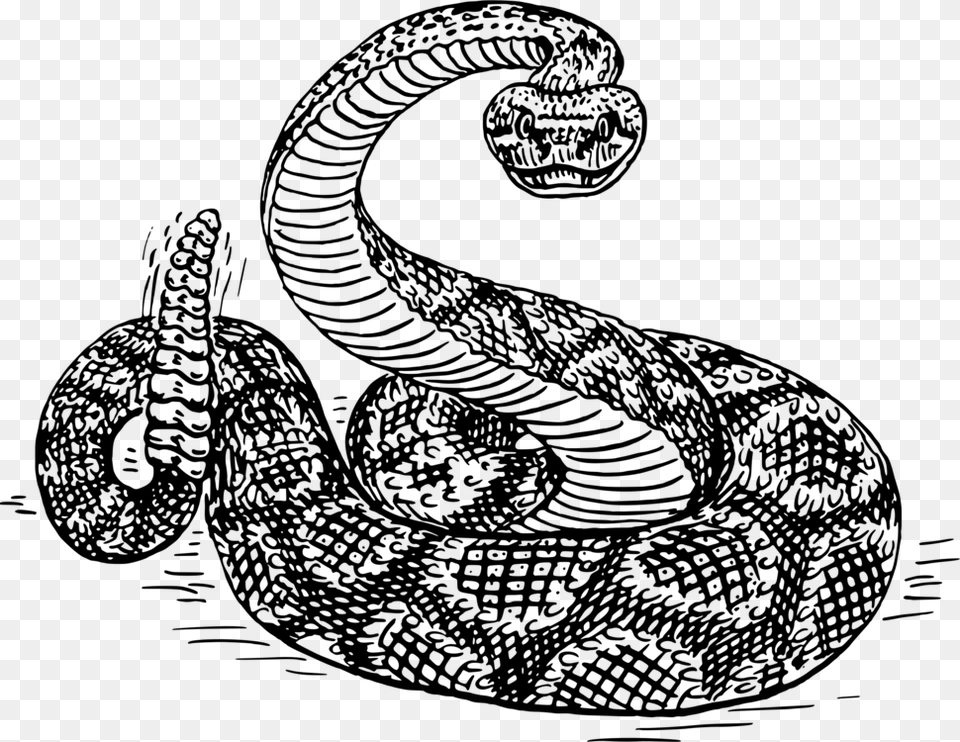 Visual Artsreptileserpent Rattlesnake Black And White, Gray Png Image
